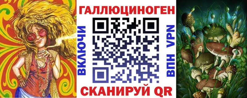 Псилоцибиновые грибы GOLDEN TEACHER KRAKEN ссылки Багратионовск продажа наркотиков