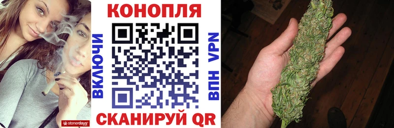 Конопля планчик  Багратионовск 